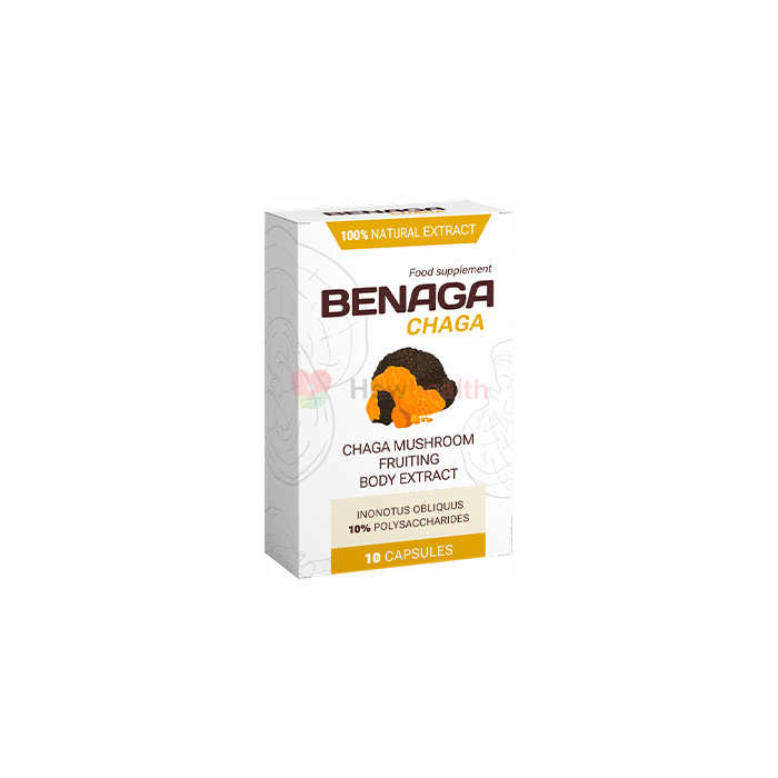 Benaga Chaga